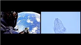 Are They Truly Willing to Trade Earth for This?