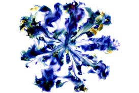 Solo exhibition of smoke on paper by Dennis Lee Mitchell opens at Maya Frodeman Gallery