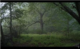 Need an Escape? Tune Into Noah Kalina’s Ambient Landscapes Where Almost Nothing Happens