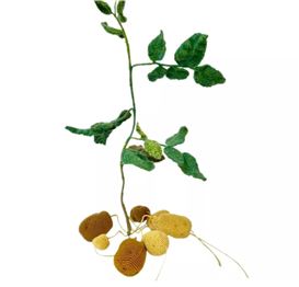 UCCA Dune announces “Hu Yinping: You Can Start Anytime" to be opened on April 27