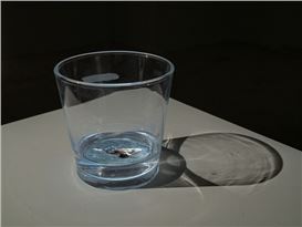 Amol K Patil’s “The Shadow of Lustre”