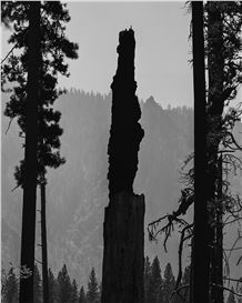 “California Dreams” by Photographer Nicolas Denolle