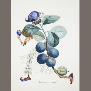 Fourteen unseen Salvador Dalí paintings are sold at Bonhams for more than $1million