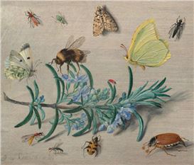 Art's influence on natural history explored in historic exhibition