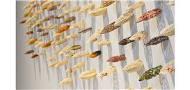 Organic Materials and Shared Vision: New Exhibition at Art Institute Explores Human-Nature Ties