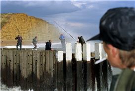 Martin Parr Lights Up