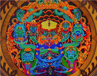 Anthem of the Sun: Bill Walker’s Journey with the Grateful Dead