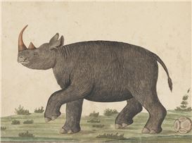 Acquisitions of the month: June 2025