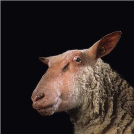 Athens Exhibition Says the Revolution Could Begin on Your Plate