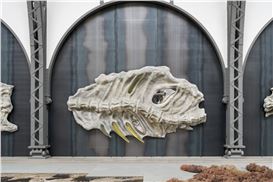 Klára Hosnedlová “Embrace” Hamburger Bahnhof, Berlin