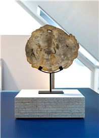 Alex Hamish Millar at Hordaland Kunstsenter, Bergen