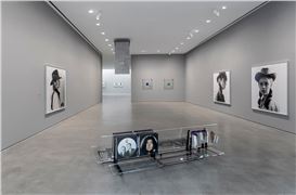 Rosemarie Trockel: Material and The Kiss