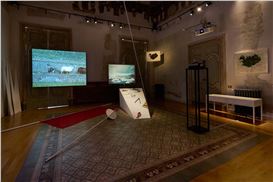 Joan Jonas at Aquarium – Stazione Zoologica Anton Dohrn and Zweigstelle Capitain VII at C.A.S.A – Palazzo Degas, Naples