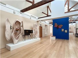 Lismore Castle’s art gallery celebrates 20th anniversary with an exhibition dedicated to the Kunstkammer