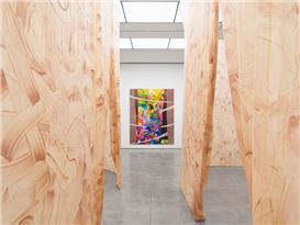 Ilana Savdie Collapses Form, Flesh and Meaning in Her White Cube Debut