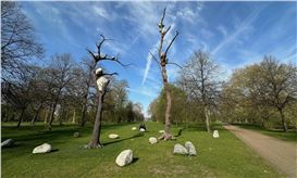 Giuseppe Penone Thoughts in the Roots Serpentine – Sue Hubbard