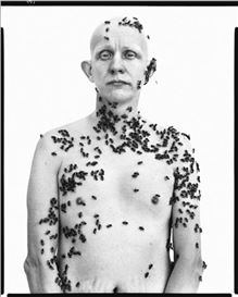 Richard Avedon's In the American West returns: Paris exhibition marks 40 years of a photographic landmark