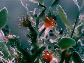 Agnieszka Polska at Union Pacific, London