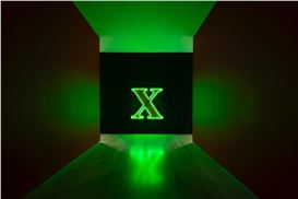 Awol Erizku Explores Malcolm X's Legacy at CAAM Solo Exhibition