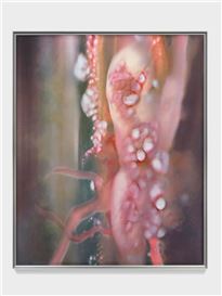 Double Vision & Francesca Mollett