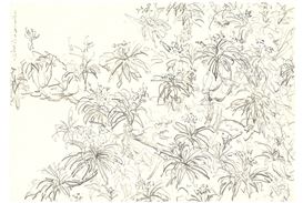 Künstlerhaus Stuttgart Opens an Exhibition of Works by Zheng Bo