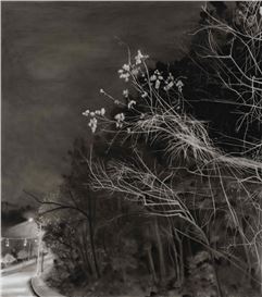 Brighter Skies: Seven Baltimore-Based Artists at CPM Gallery