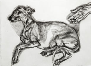 LUCIAN FREUD'S AGED WHIPPET RACES TO THE TOP OF BONHAMS PRINTS SALE