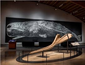 A Whale of a Tale: New Exhibition Chronicles the US’s First Oil Addiction