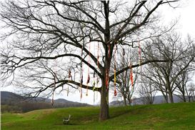 Ten Upstate Art Weekend Exhibitions That Justify the Drive