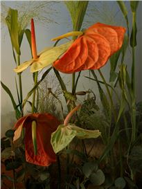 Earth Week: Tine Poppe: Gilded Lillies