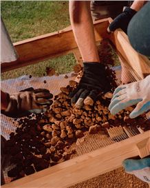 The 2025 Lenscratch Honorable Mention Winner: Ian Byers-Gamber