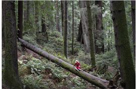 Six women artists remix pop culture to explore identity in new Gerald Peters show