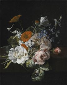 Rachel Ruysch: Late Bloomer