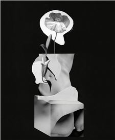 Vanessa Woods: Recast