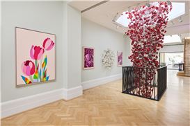 Halcyon’s Summer Exhibition Champions Colour & Its Perception.