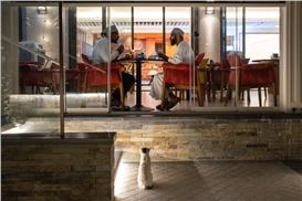 Julie Hrudová’s Photos Frame Moments of Eccentricity, Happenstance, and Togetherness