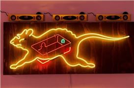 Retrospective: The Neon Art of Michael Flechtner