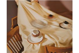 ROSEGALLERY Presents Jo Ann Callis's "Dish Trick," Unveiling the Silent Power of Everyday Objects