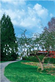 A Day Trip to See the Stars in “DayDream” at Berkshire Botanical Garden, MA