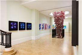 Dominic Harris Transforms Nature into Digital Art at Halcyon's Summer Exhibition