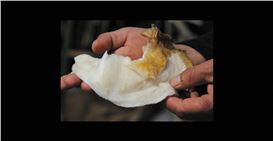 Visual Arts + Sound Art class of 2025 MFA thesis exhibition