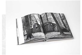 "Sticks" by Patrick Dougherty & James Florio — An enduring dance between nature and imagination