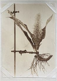 Stade Museum Presents, Exhibition “AMANI kukita | kung’oa” Rethinks Research Practices