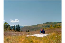 Cookie Factory Debuts with Sam Falls' "Nothing Without Nature"