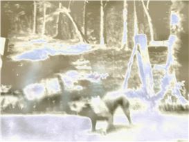 James Richards: Fevers