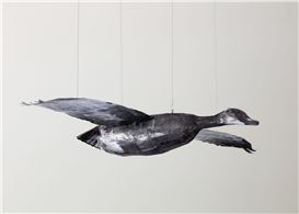 Lauren Burns-Coady at Bonny Poon / Conditions, Toronto