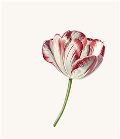 Connected Through Time and Space: Rory McEwan