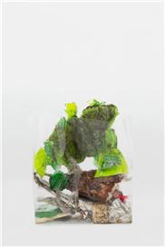 From a Year’s Worth of Sidewalk Debris, 365 Works of Art