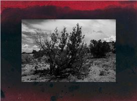 Dakota Mace: Listening to the Land