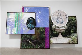 BMA celebrates the splendor and fragility of nature with Black Earth Rising